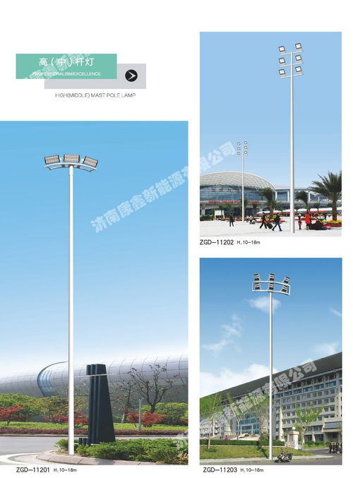 路灯杆 高杆灯 山东立杆